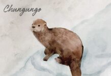 Album: Chungungo by Stefan Elbl