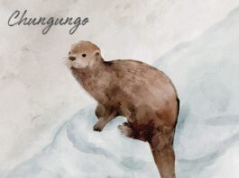Album: Chungungo by Stefan Elbl
