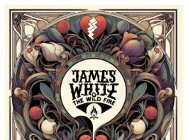 Bonfire by James White & The Wild Fire