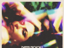 The Wreckage by Danni Nicholls