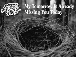 A SONG THAT FINDS MAGIC IN LIFE’S SMALL DETAILS