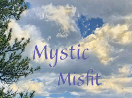 Patti Spadaro Searches for Stillness and Connection on “Mystic Misfit” (June 12th release)