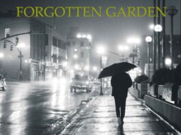 Rain by Forgotten Garden