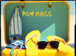 Pam Ross’ “That Kind of Summer” and the Lost Art of Emotional Simplicity
