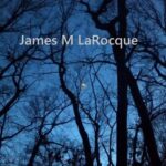 James M. LaRocque Releases Satirical New Single “TDS”