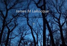 James M. LaRocque Releases Satirical New Single “TDS”