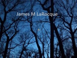 James M. LaRocque Releases Satirical New Single “TDS”