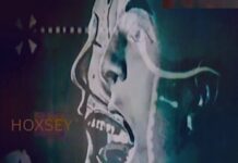Hoxsey (Album) by Hoxsey