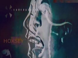 Hoxsey (Album) by Hoxsey