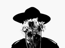 Spirit of the Cactus (Desert Mix) by Pascal & The Shades