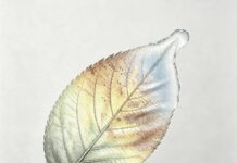 Seasons (to be human) by Steven Luke
