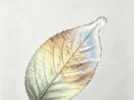 Seasons (to be human) by Steven Luke