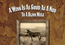 Album: A Wink Is As Good As A Nod To A Blind Mule by David Moore
