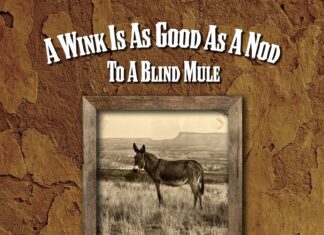 Album: A Wink Is As Good As A Nod To A Blind Mule by David Moore